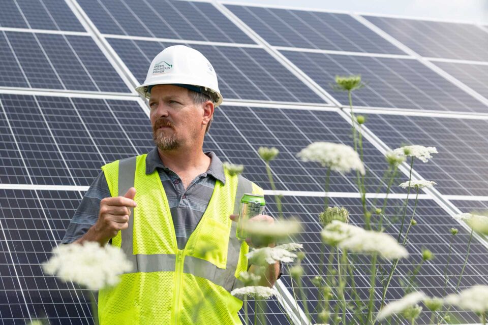 worker in front of solar panels